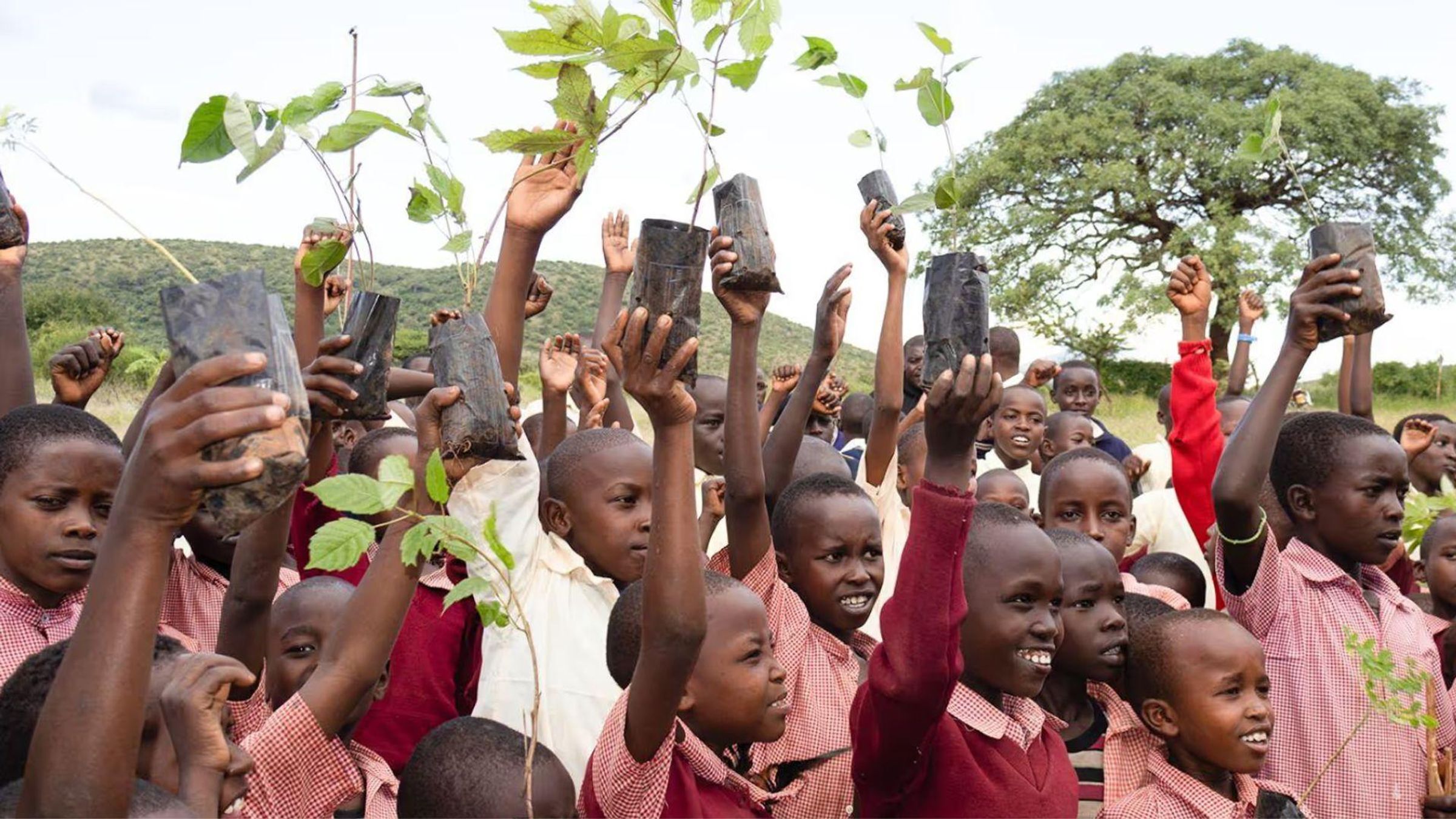 Group of schoolchildren in red and white uniforms holding young trees above their heads during an outdoor tree planting activity