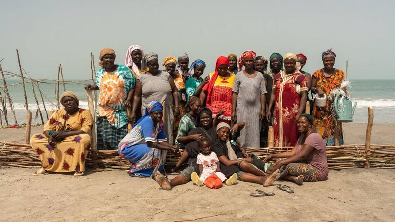 Vingt femmes et un petit enfant sourient à la caméra tout en se tenant derrière une barrière basse en palmes tressées renforcée avec des piquets en bois et de la ficelle. La barrière fait environ 50 cm de hauteur et s'étend à travers le sable avec la mer en arrière-plan.